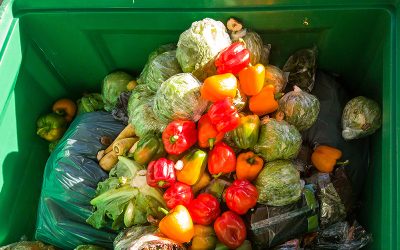Why you should reduce your food waste