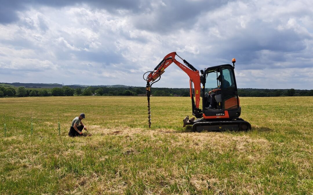 We’ve planted a vineyard!