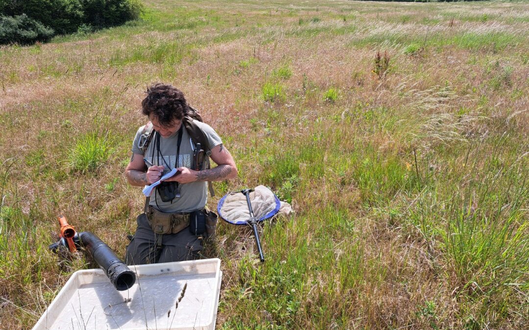 Biodiversity is exploding at Ewhurst Park!